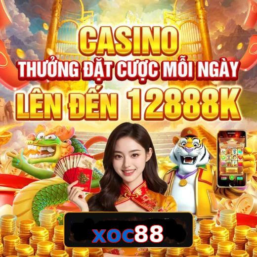 xoc88