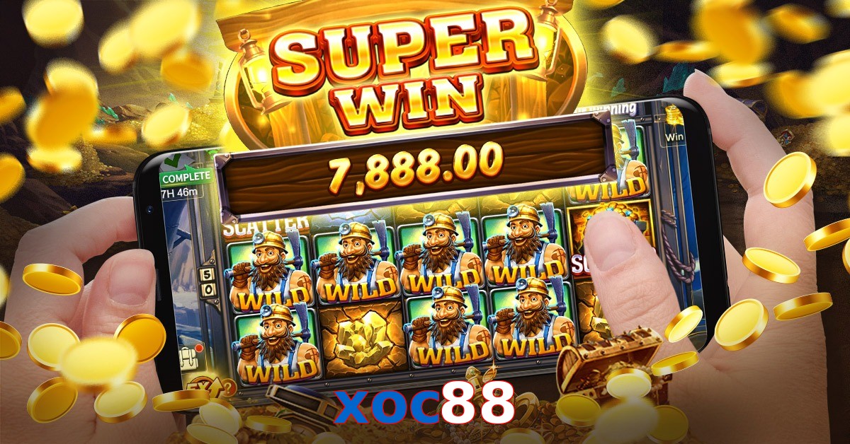 xoc88