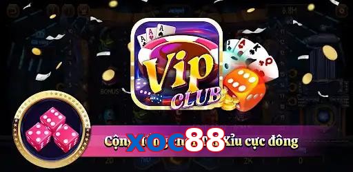 xoc88