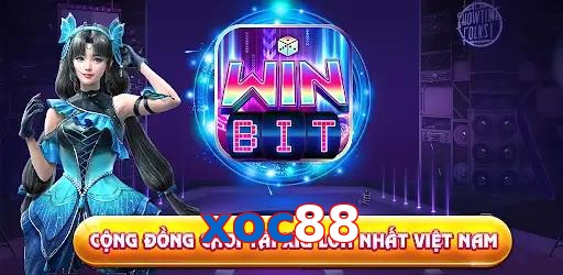 xoc88