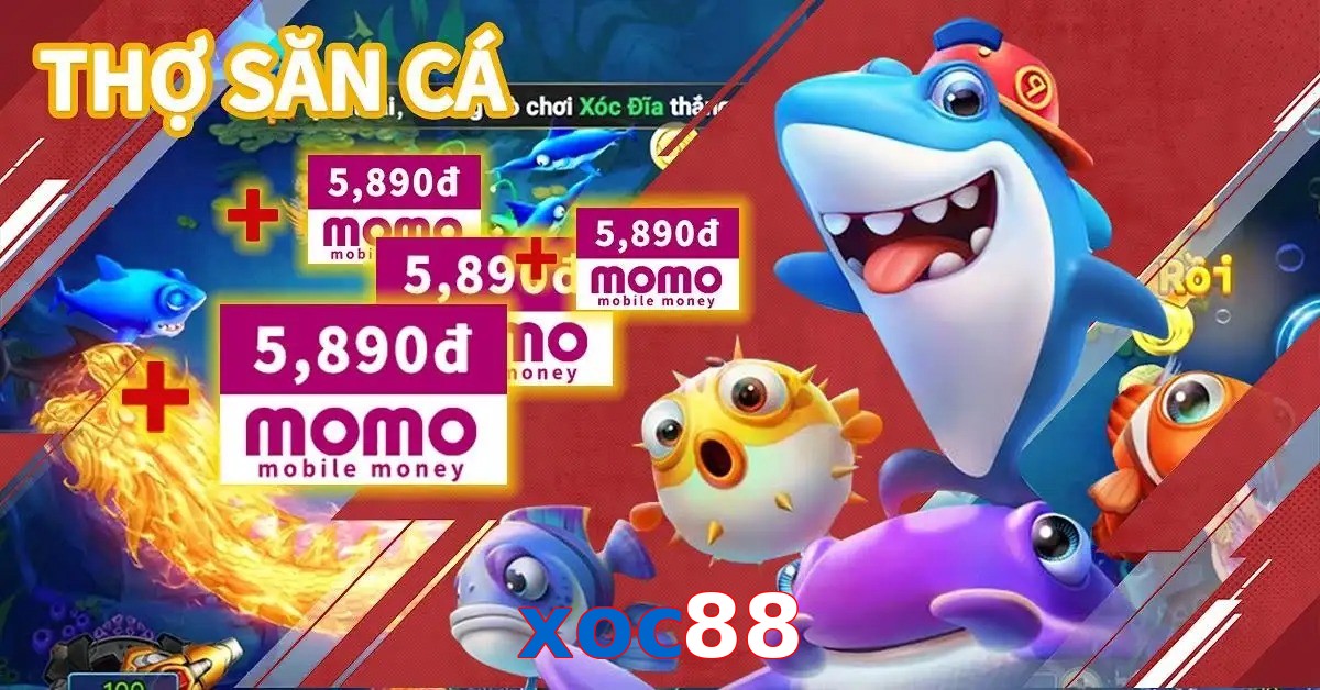 xoc88