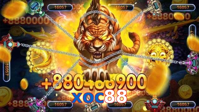 xoc88
