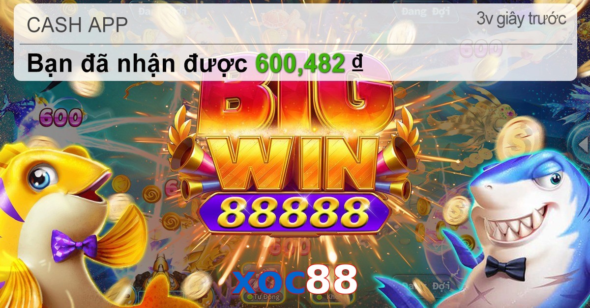 xoc88