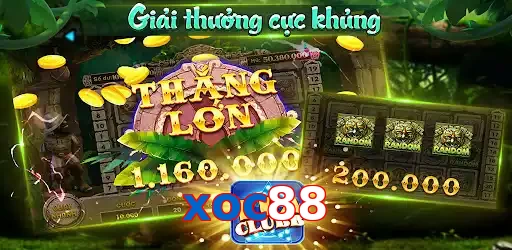 xoc88